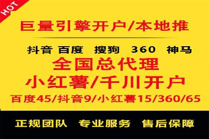 行业领先企业的SEM代理案例剖析